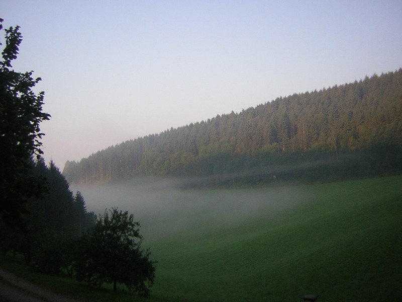 Blick ins Tal kurz nach Sonnenaufgang am 4. August 2007